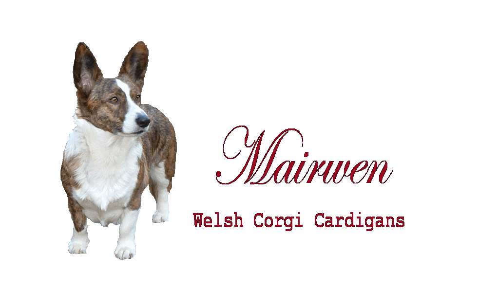 Mairwen logo